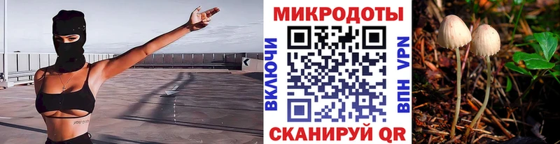 Галлюциногенные грибы Psilocybine cubensis Кемерово