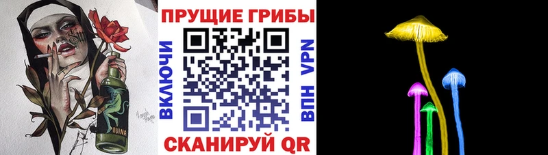 Псилоцибиновые грибы Magic Shrooms  Кемерово 