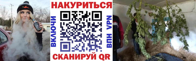Бошки марихуана сатива Кемерово